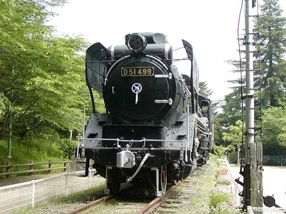 D51499