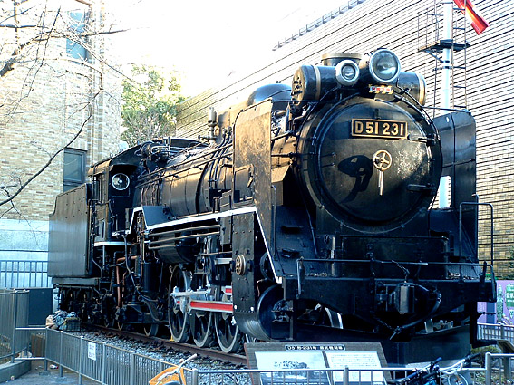 D51231