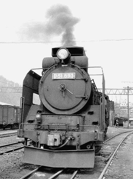 D51893