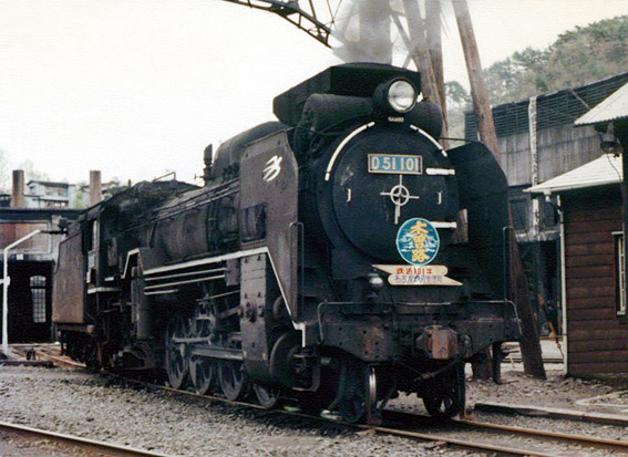 D51101