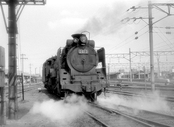 D51181