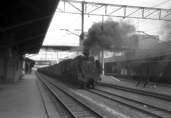 D51181