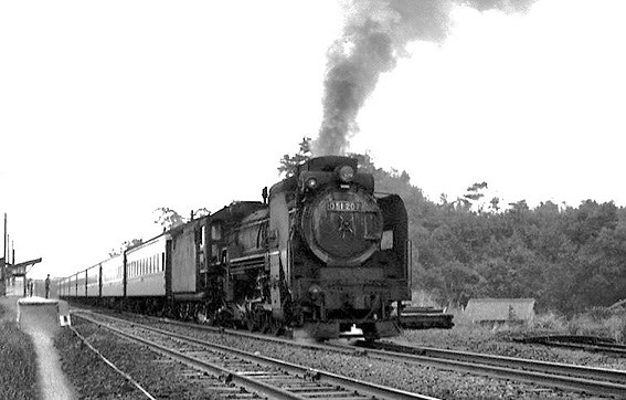 D51207