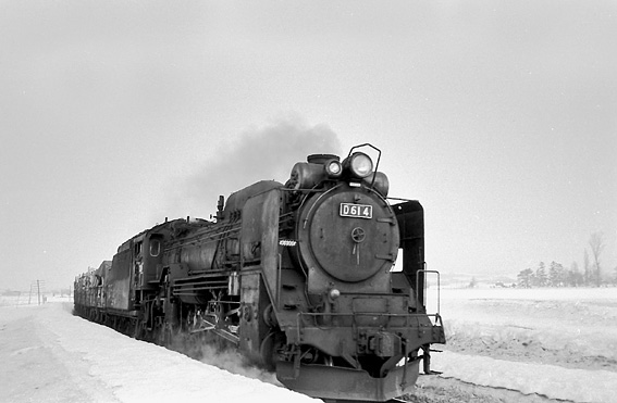 D51224