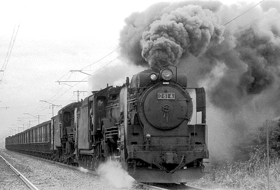 D51224