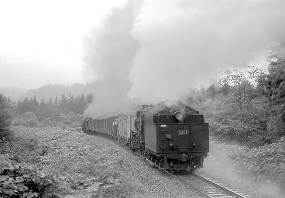 D51224