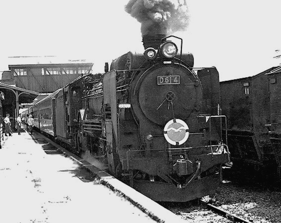 D51224