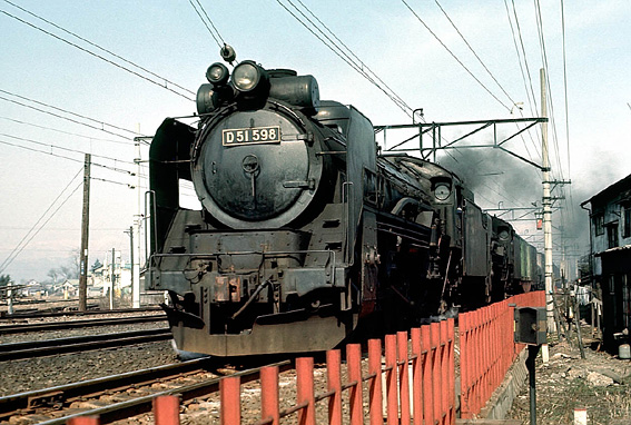 D51598