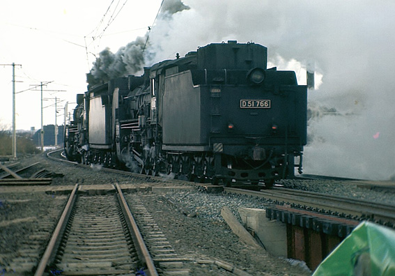 D51766