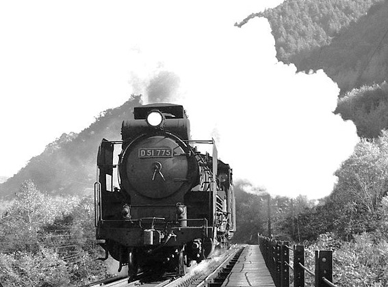 D51775