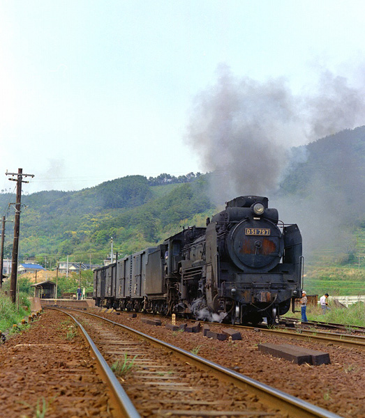 D51797