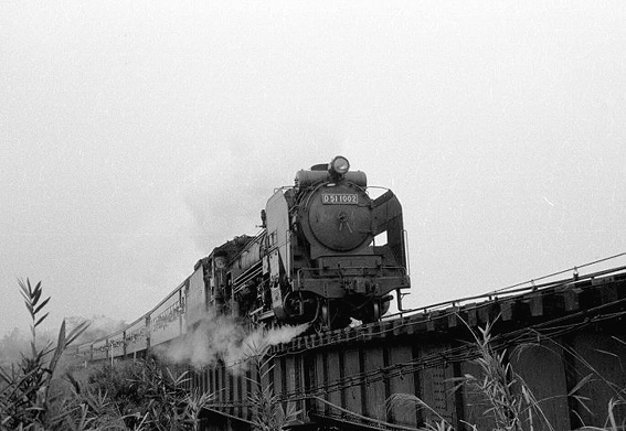 D511002