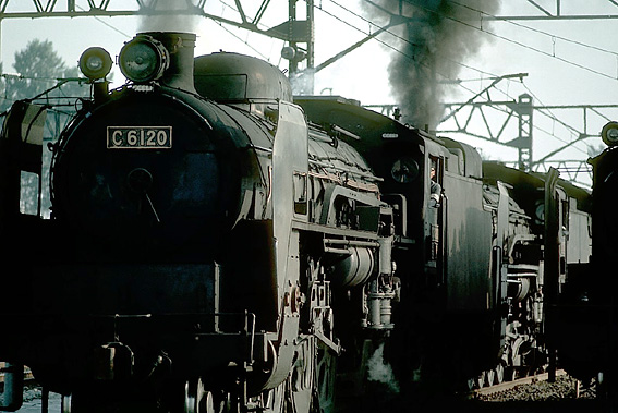 D511094
