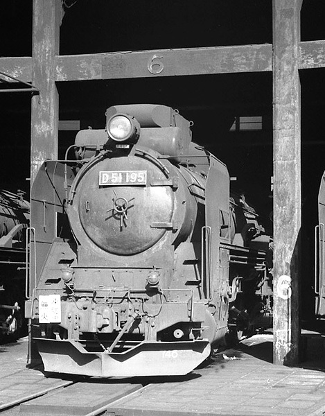 D51195