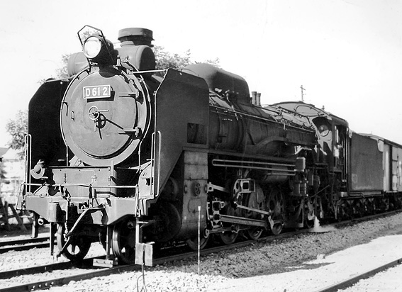 D51555