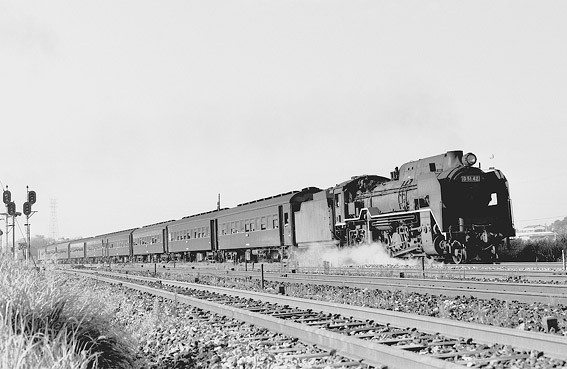 D5142