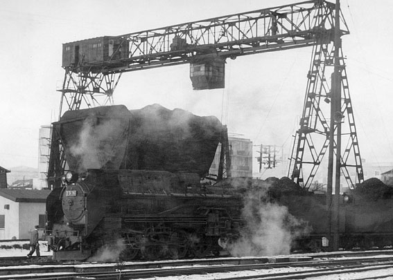 D5196