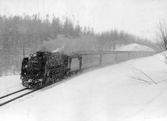 D5196