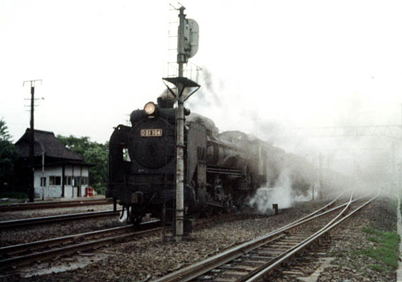 D51104