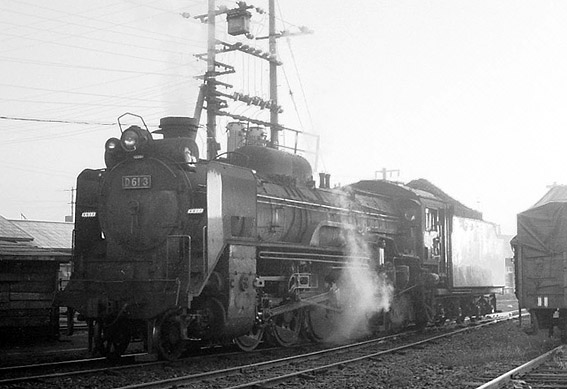 D51181