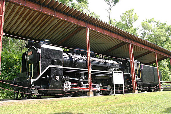 D51181