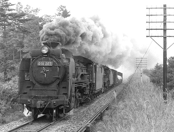 D51207