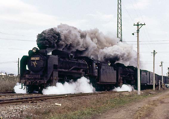 D51207