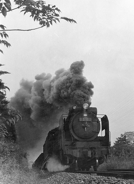 D51515