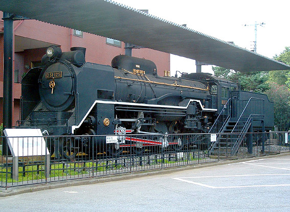 D51125