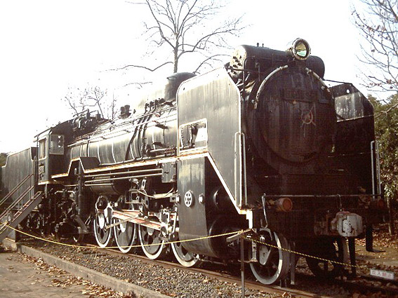 D51195