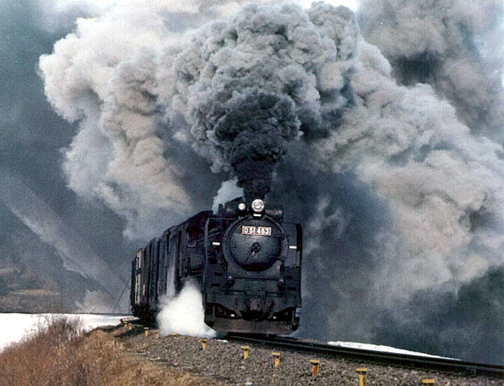 D51483
