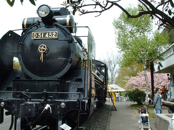 D51452