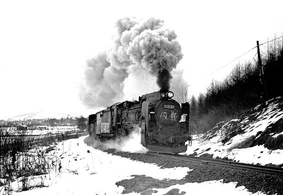 D5160