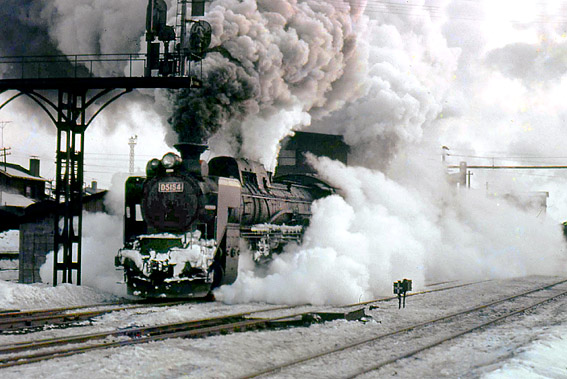 D5154