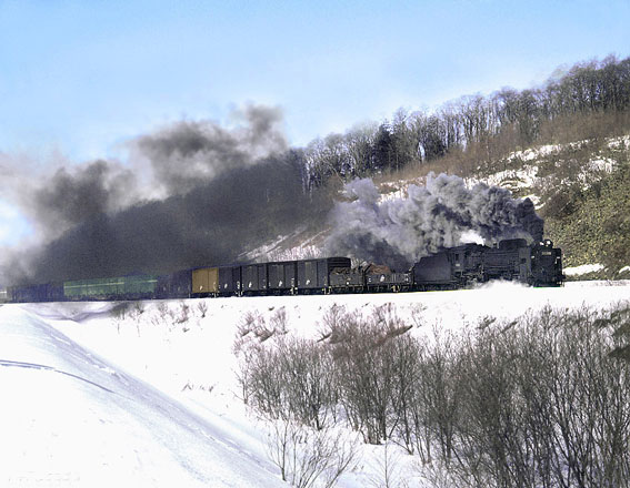 D51855