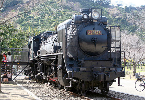 D51146