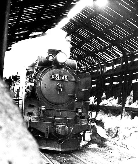 D51146