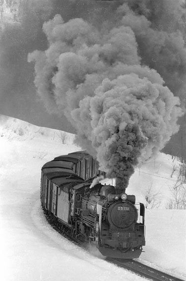 D51150