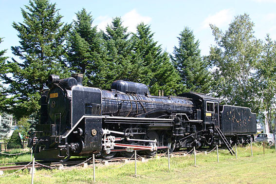 D51311