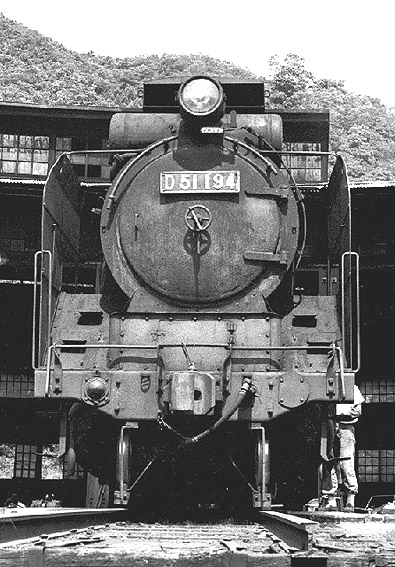 D51194