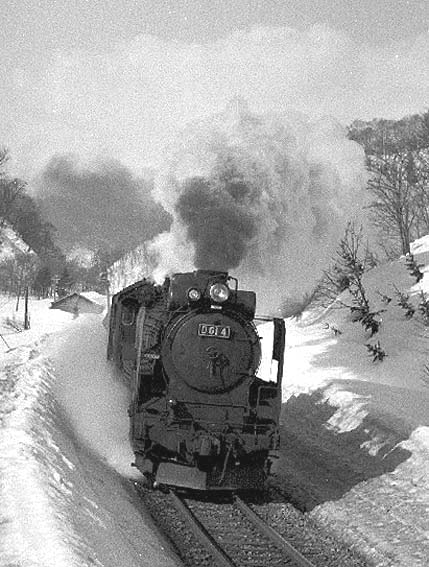 D51224