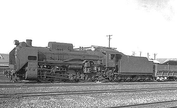 D51911