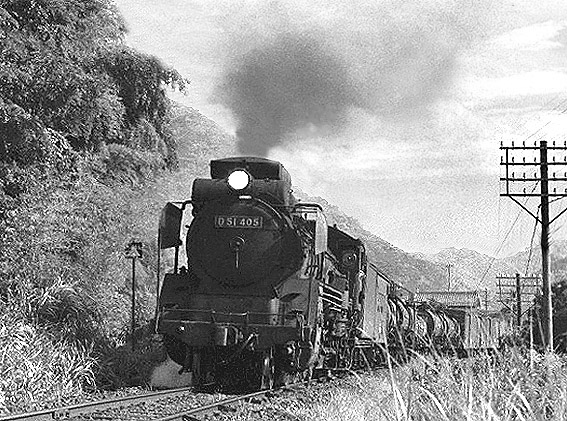 D51405