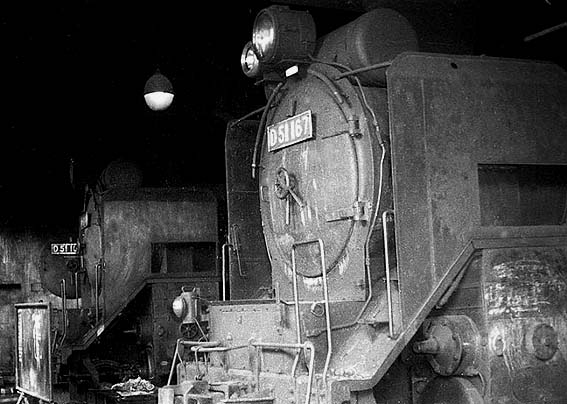 D51167