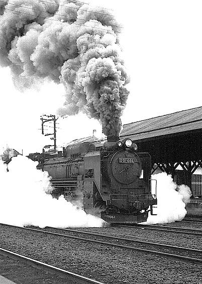 D51444