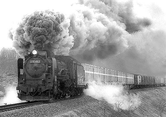 D51483