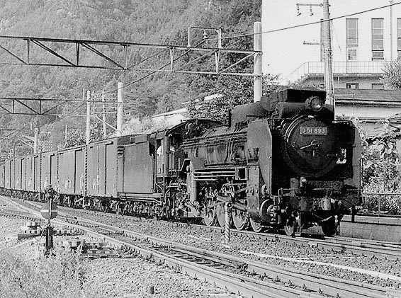 D51893