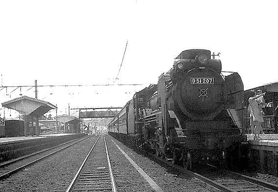 D51207