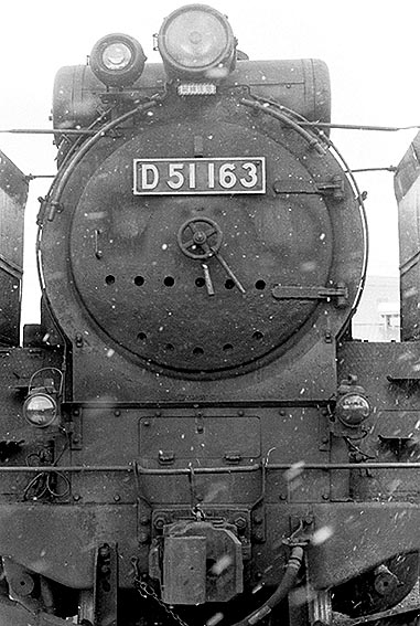 D51163