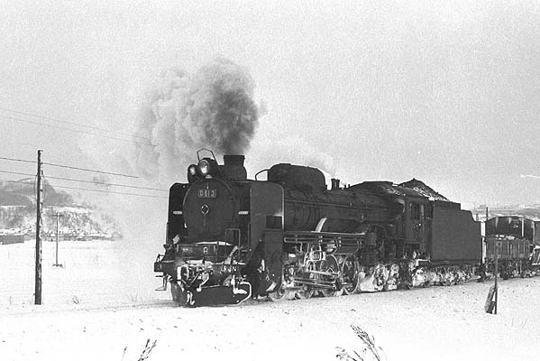 D51181